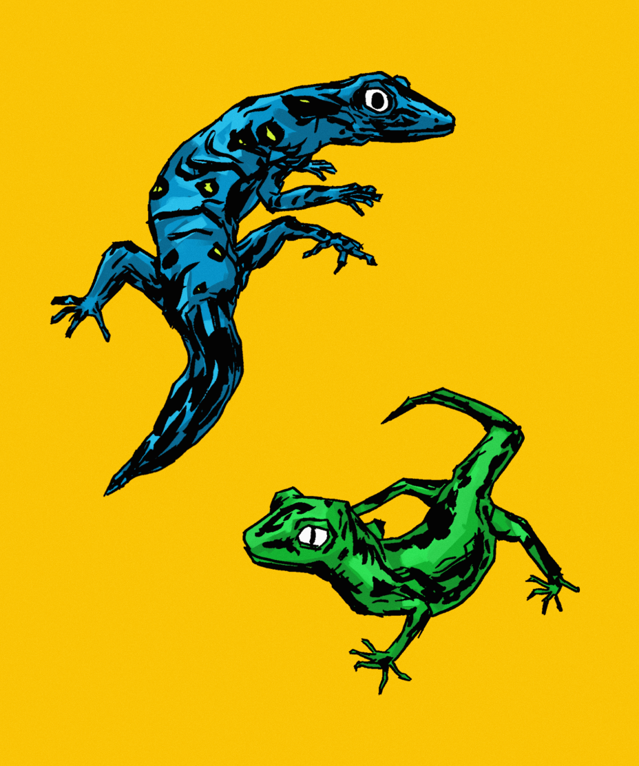 green blue lizard - yellow background